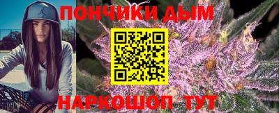 спайс Гагарин