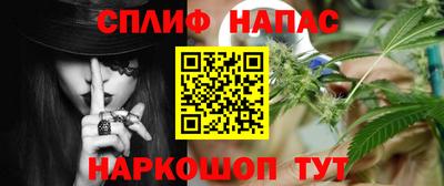 спайс Гагарин