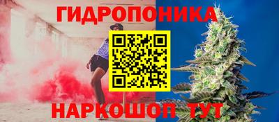 спайс Гагарин