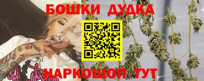 apvp Гай